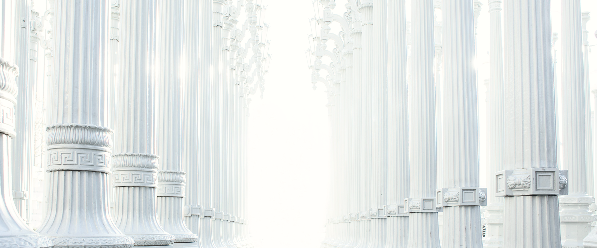 Explore the Essence of Beauty